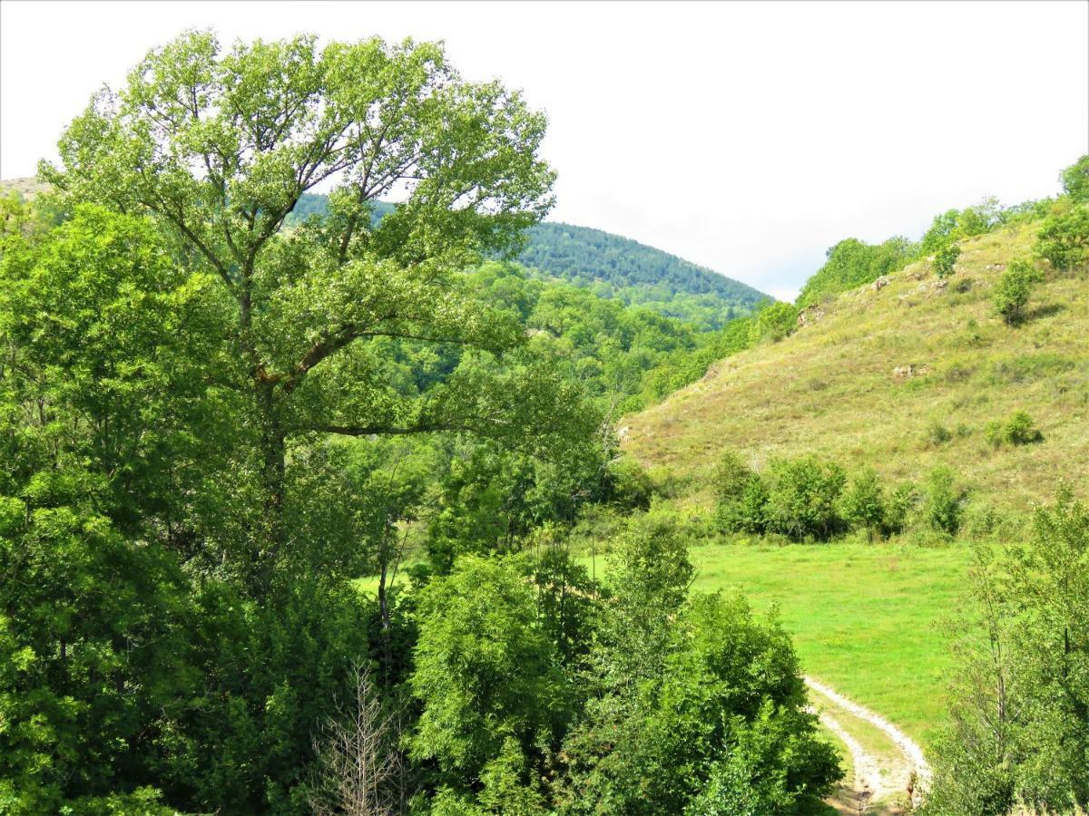 Vaque Villeneuve Des Escaldes Angoustrine المظهر الخارجي الصورة